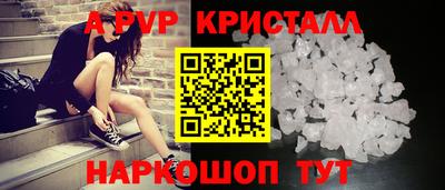 индика Гусев