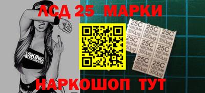 индика Гусев