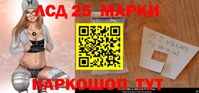 индика Гусев