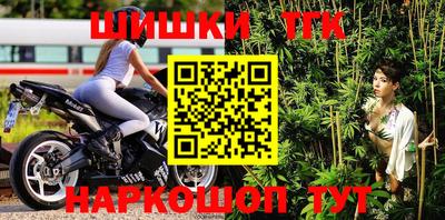 индика Гусев