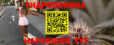 метадон Гусь-Хрустальный